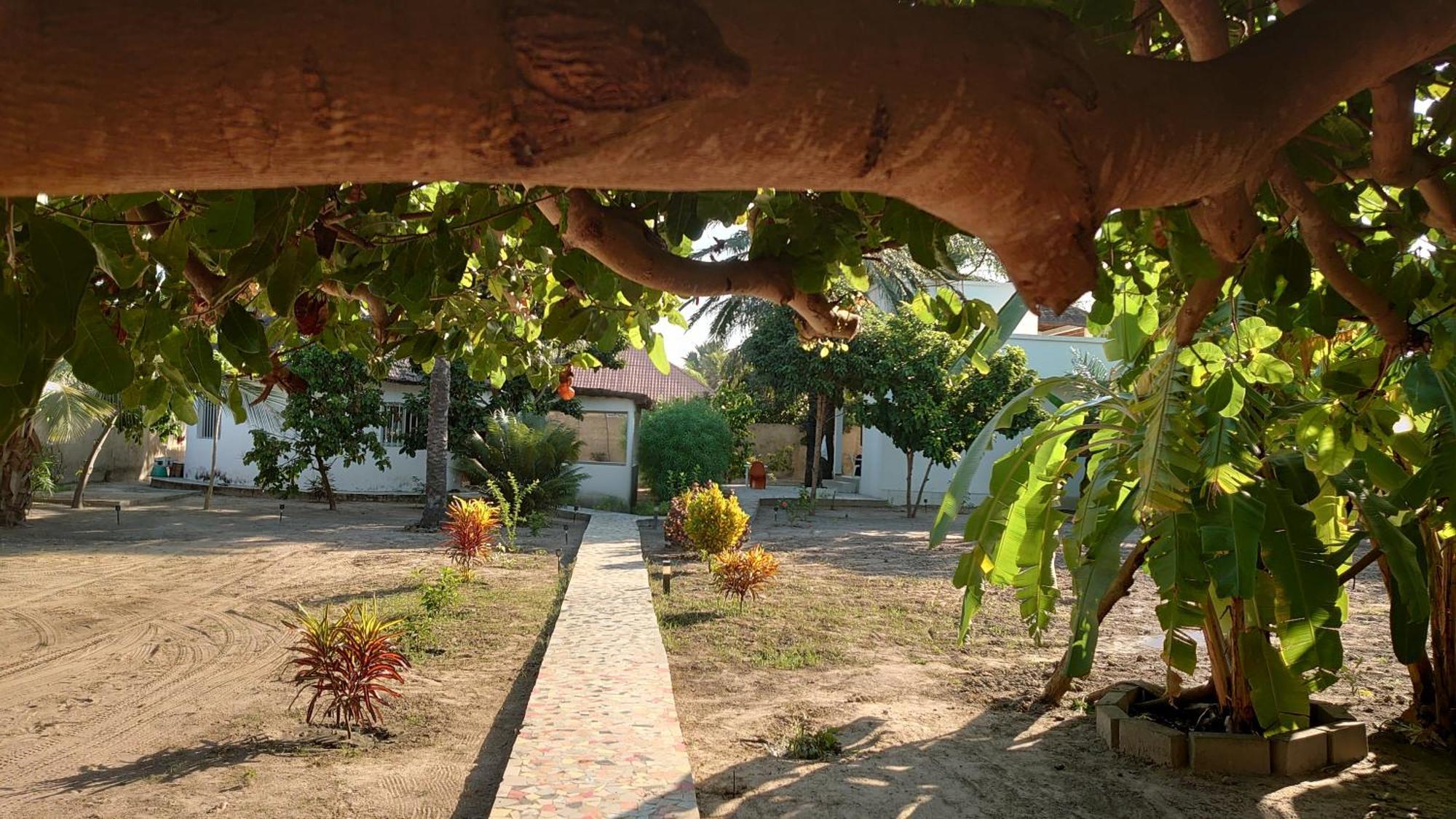 Case Traditionnelle Diola Au Bord De L'Ocean كاب سكيرينج المظهر الخارجي الصورة